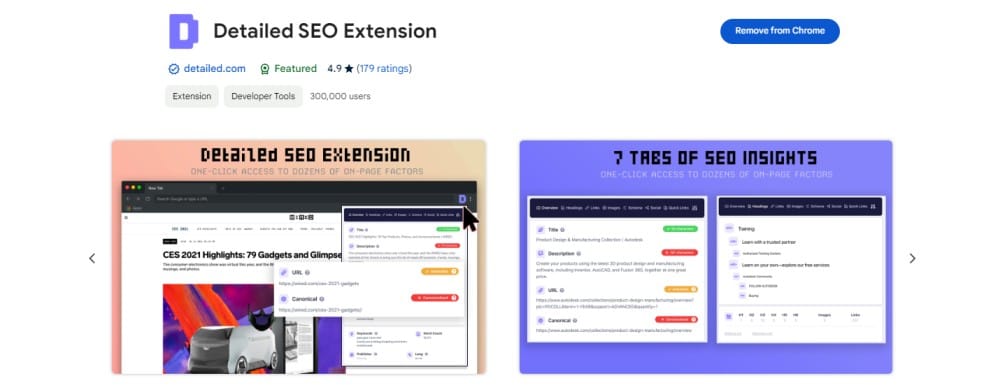 Detailed SEO Extension